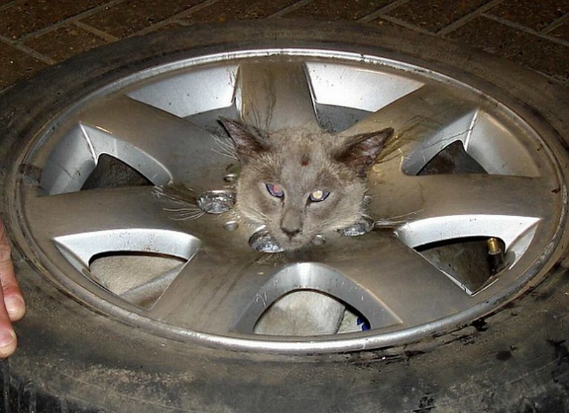 Illustration for article titled Thirty Vehicular "You're Doing It Wrong" Moments: Version 4.0